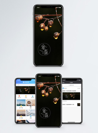 秋天的果实寒露手机海报配图模板