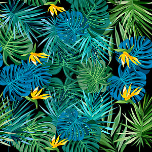 热带雨林植物热带叶子花插画