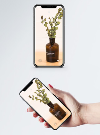 一盆花花瓶手机壁纸模板