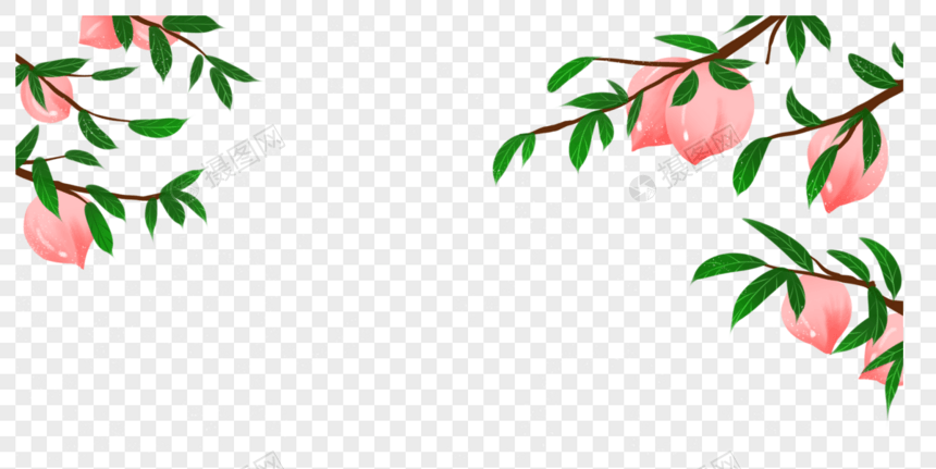 桃子树图片