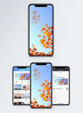 观寒露手机海报配图模板
