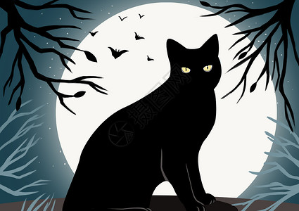 万圣节黑猫背景图片