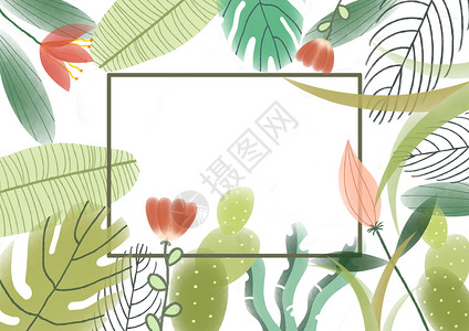 花卉植物边框背景图片