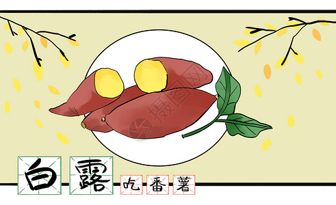 白露之吃番薯插画