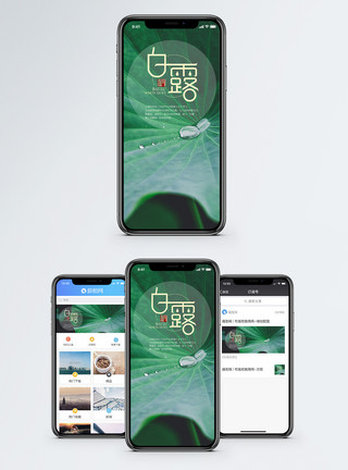 草自然寒露手机海报配图模板