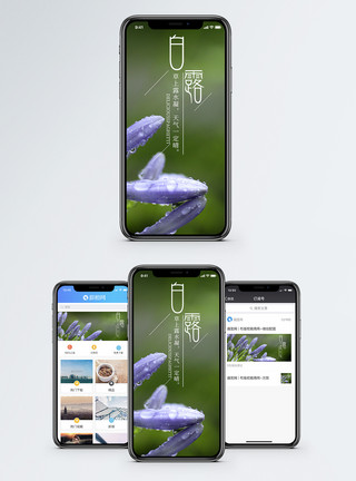 草露特写白露手机海报配图模板