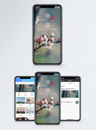 寒露风景寒露手机海报配图模板