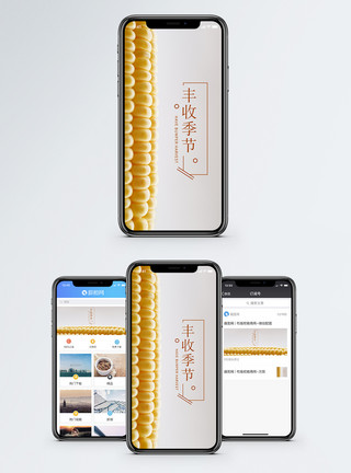 烤玉米丰收手机海报配图模板