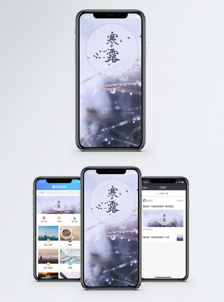 大雁手机海报寒露手机海报配图模板
