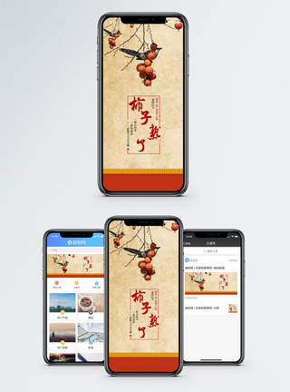 柿子红了柿子熟了手机海报配图模板