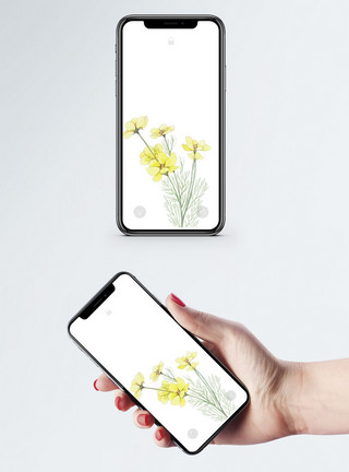 雏菊花束水彩花束手机壁纸模板