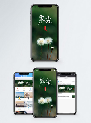 深秋寒露节气手机配图海报模板