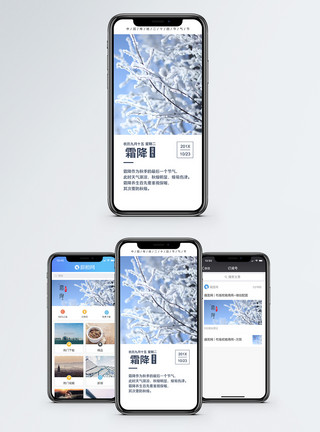 稀疏降雪霜降手机海报配图模板