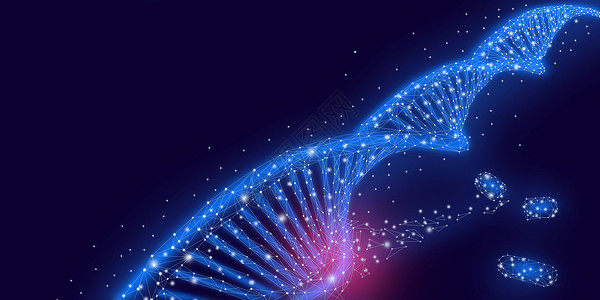线条鲸鱼DNA科技背景设计图片