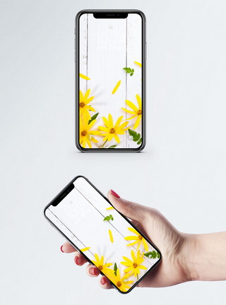 花朵条纹植物手机壁纸模板