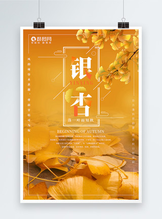秋天植物装饰银杏海报模板
