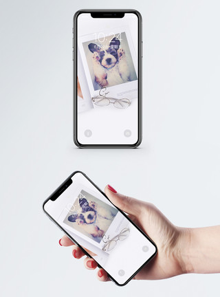 可爱素材照片小狗照片手机壁纸模板
