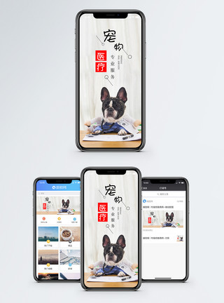 宠物医疗素材宠物医疗手机海报配图模板