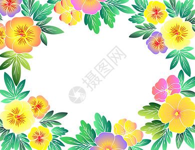 黑白色系边框花卉植物背景插画