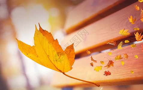 秋天的浪漫秋天叶子设计图片