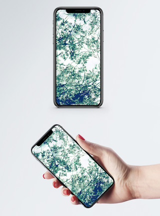 美丽山林柳树背景手机壁纸模板