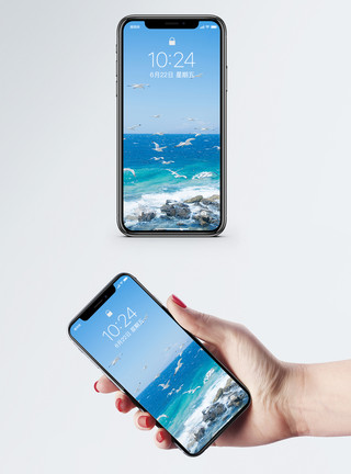 风光海景海鸥手机壁纸模板
