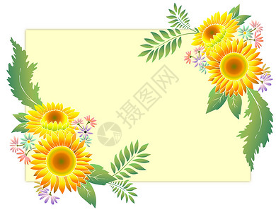 大剪贴画向日葵植物花卉插画