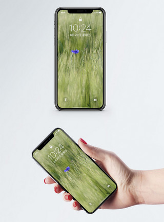 绿色小花靠背绿色麦田手机壁纸模板
