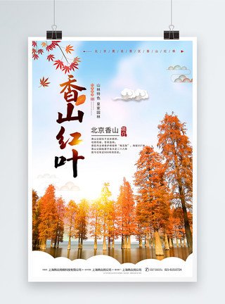 红叶石楠香山红叶秋季旅游海报模板