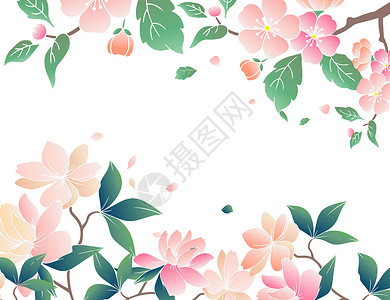 粉色系边框复古花卉植物插画