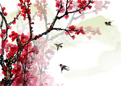 樱花和麻雀中国风水墨红梅插画