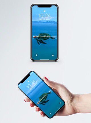 海龟高清创意乌龟手机壁纸模板