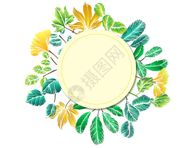 秋天装饰框热带植物叶子插画