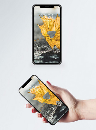 心形的叶子枫叶手机壁纸模板