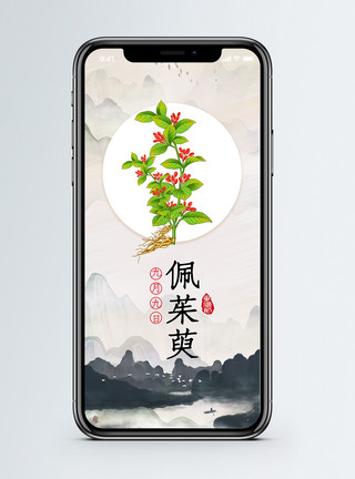 春节习俗佩茱萸手机海报配图模板