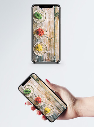 颜色鲜艳的美食多肉植物手机壁纸模板