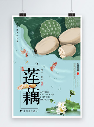 干锅藕新鲜莲藕海报模板