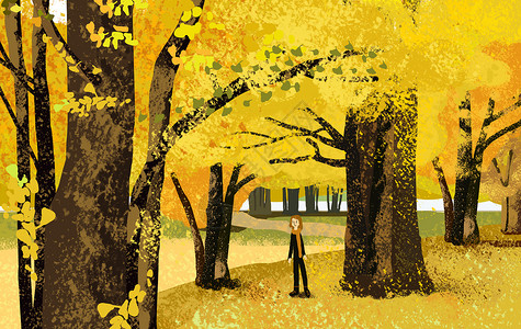 浅咖啡色秋天的银杏树林插画