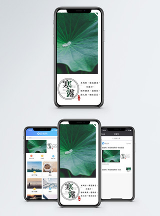 荷叶与水珠寒露手机海报配图模板