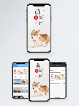 宠物生活配图萌宠陪伴手机海报配图模板