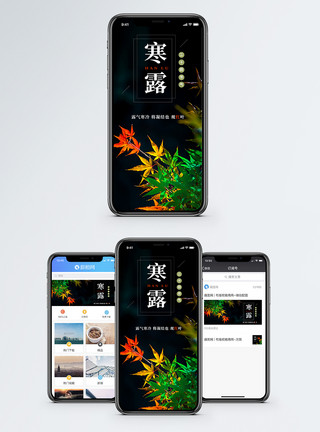 观寒露手机海报配图模板