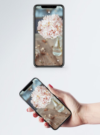 冷美人花卉手机壁纸模板