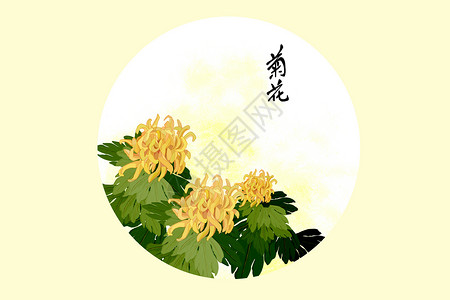 菊花背景图片