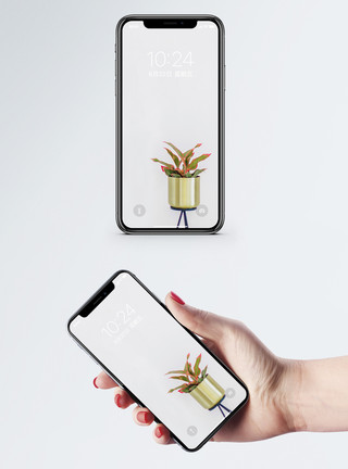欧式金色分割线植物摆设手机壁纸模板