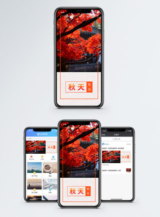 风景秋天手机海报配图模板