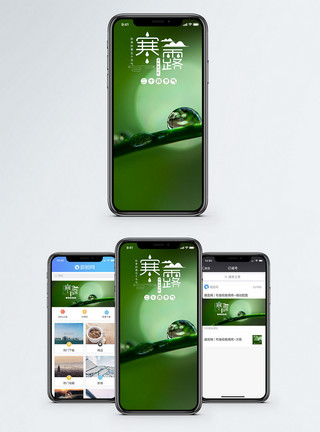 植物水滴素材寒露手机海报配图模板