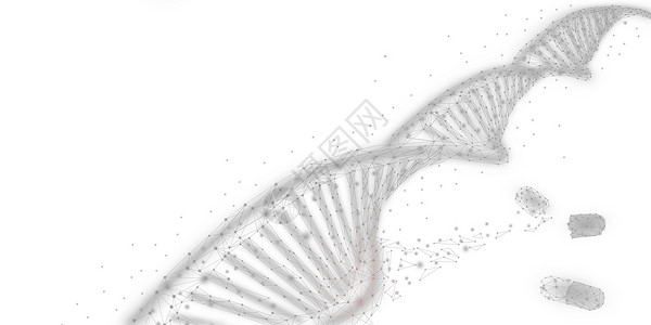 鸟骨架DNA科技设计图片