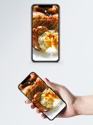 桌面美食背景大闸蟹手机壁纸模板