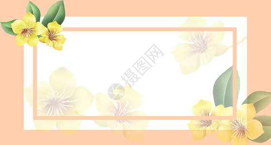 背景花卉装饰花朵馨高清图片