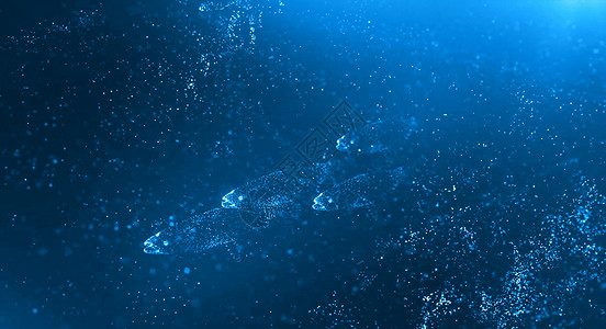 三文鱼群鱼群粒子背景设计图片